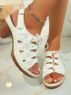 3360a181d6d34ebc8e5f88e078546760-Max-Origin